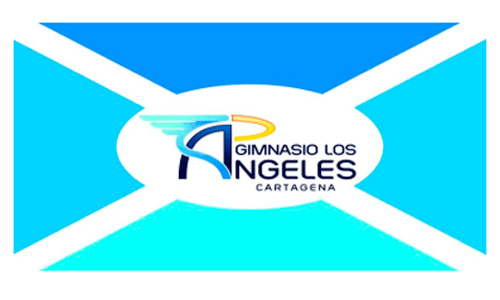 Bandera Institucional